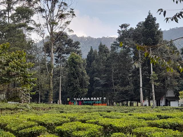 1. Puncak Pass Bogor