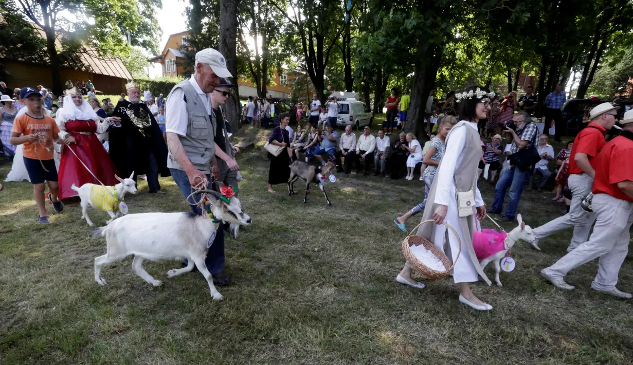 Sejumlah peserta berjalan bersama kambing mereka dalam kontes kecantikan kambing di Ramygala, Lithuania, Minggu (26/6). Kontes kecantikan unik yang melibatkan kambing ini merupakan tradisi turun temurun. (REUTERS/Ints Kalnins)