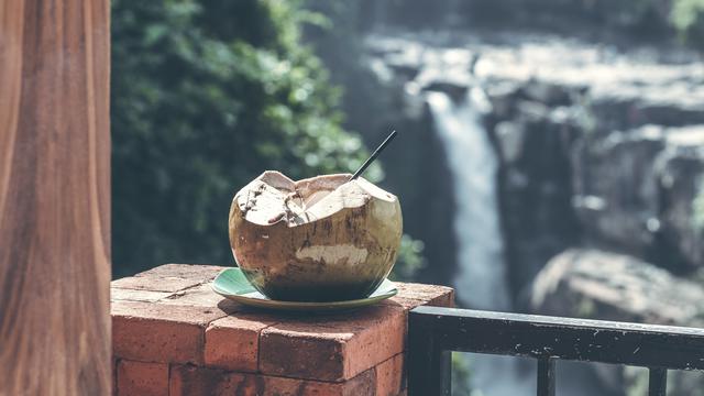 Ilustrasi air kelapa muda bakar