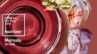 Warna Marsala, Tren Interior Rumah Tahun ini