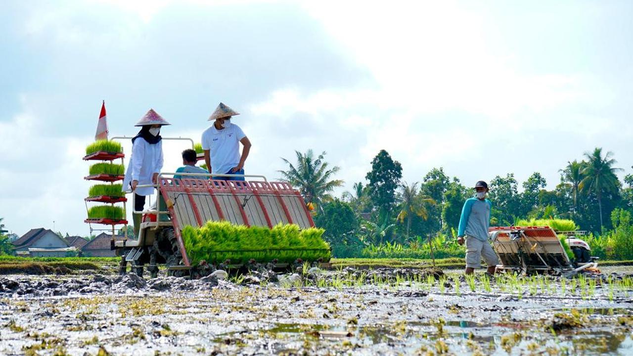 Tawarkan Modal Ratusan Juta, Bupati Ipuk Ajak Anak Muda Banyuwangi Ikuti Program Jagoan Tani