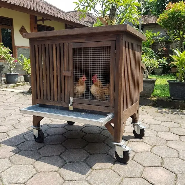 Desain Kandang Ayam Kolong dengan Tray Tarik
