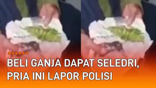 VIDEO: Beli Ganja Dapat Seledri, Pria Ini Lapor Polisi