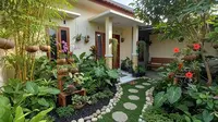 Resolusi Rumah Lebih Asri di 2026? 12 Inspirasi Kebun Rumah Ini Bisa Dicoba