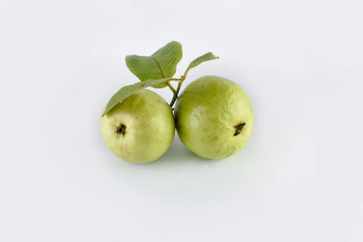 Jambu biji
