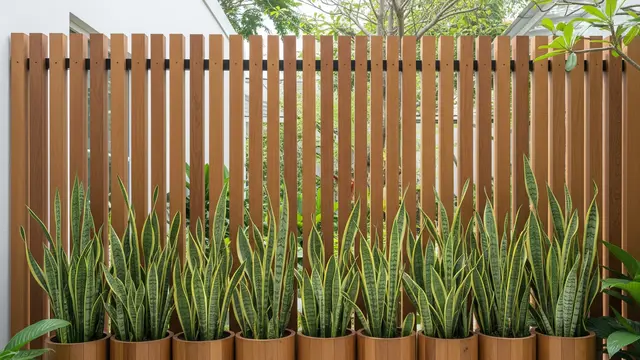 Pagar Kayu Vertikal dengan Tanaman Lidah Mertua (Sansevieria)