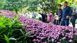 Orang-orang menikmati pesona bunga krisan di sebuah pameran di Fuzhou, ibu kota Provinsi Fujian, China pada 3 November 2020. Lebih dari 20.000 pot bunga krisan dari 1.000 lebih varietas dipertunjukkan dalam sebuah acara pameran di Taman Danau Barat di Fuzhou pada Selasa (3/11). (Xinhua/Wei Peiquan)