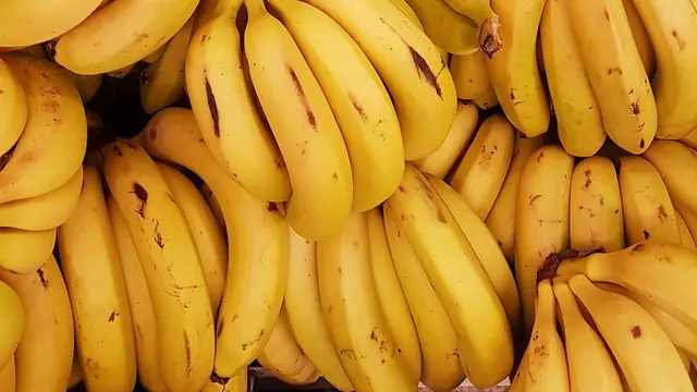 Pisang - Vania