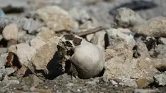 Sebuah tengkorak tergeletak di tengah bangunan yang hancur di daerah perumahan di Kota Tua Mosul, Irak (13/3). Bangunan dan isi kota ini hancur akibat perang melawan ISIS. (AFP/Ahmad Al-Rubaye)