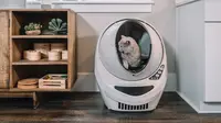 &nbsp;Ilustrasi Kucing/https://unsplash.com/Litter&nbsp;Robot