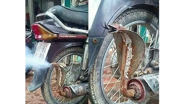 5 Modifikasi Aksesoris Motor Ini Nyeleneh Banget, Bikin Tepuk Jidat