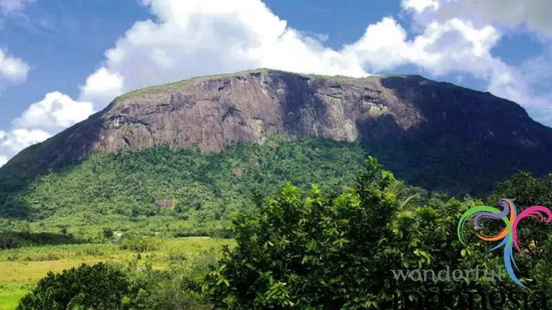 Suka Berpetualang? Yuk, Jelajahi Keindahan Alam Bukit Kelam di Borneo