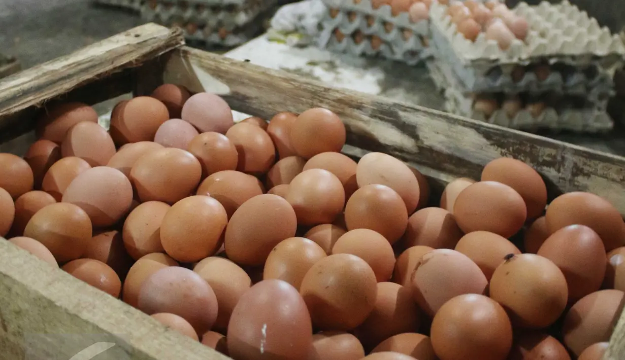 Pekerja memilih telur ayam diagen, Jakarta, Senin (27/3). Perhimpunan Insan Perunggasan Rakyat menilai pemerintah lamban mengatasi kondisi kelebihan pasokan ayam hidup dan telur, menyebabkan harga jatuh di tingkat peternak. (Liputan6.com/Angga Yuniar)