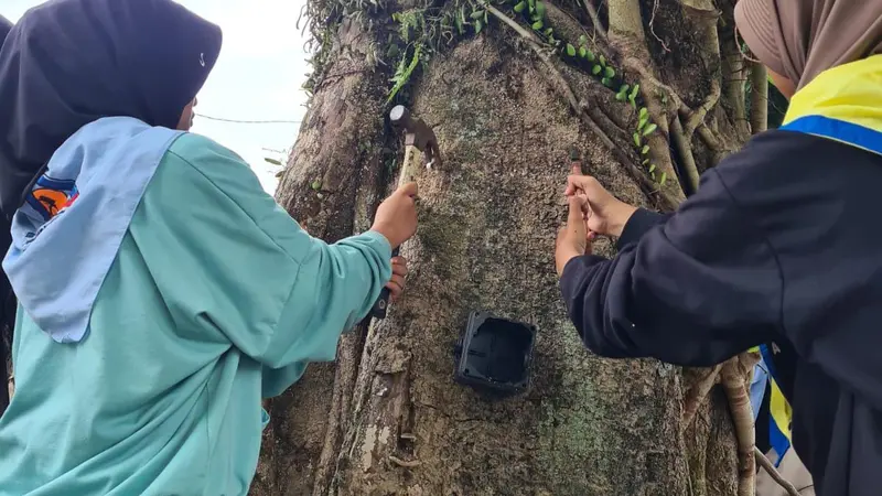 Aksi cabut paku pecinta alam se-Banjarnegara, Jawa Tengah, jelang Hari Konservasi Alam Nasional (HKAN) 2023. (Foto: Liputan6.com/Heni Purwono)