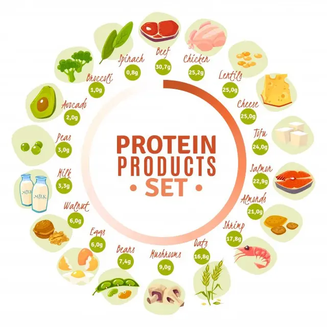 Ilustrasi makanan yang mengandung protein