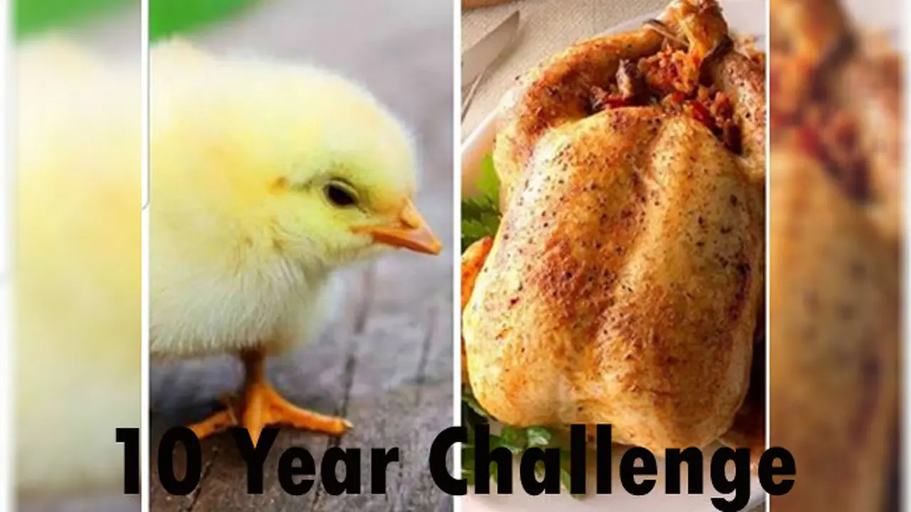Deretan Potret Konyol 10 Year Challenge Buatan Warganet, Dijamin Ngakak