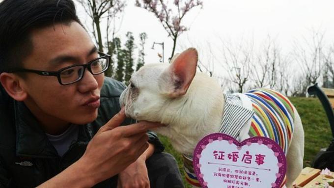 Dandani Anjing  Super Cute Pria  Baik Ini Bantu Carikan 