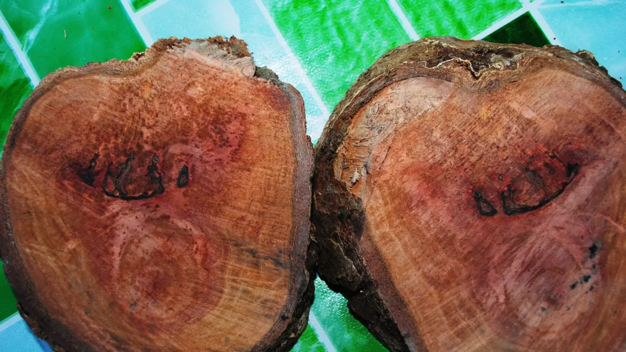 Kayu Berlafaz Allah Gegerkan Warga Sumbawa