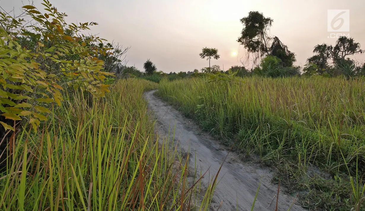 Suasana matahari tenggelam (sunset) di Pulau Pari, Kepulauan Seribu, Jakarta pada 3 Agustus 2019. Pulau Pari merupakan bagian dari 12 pulau dari Kelurahan Pulau Pari dengan potensi keindahan pantai dan alamnya. (Liputan6.com/Herman Zakharia)