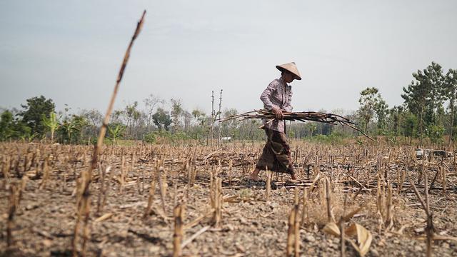 Saat 9 Pelari Berlari Estafet 99+9 KM demi Perempuan Petani di NTB Jelang NIVEA Hijab Run 2025