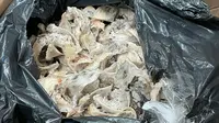 950 Kg Sarang Burung Walet Gagal Dikirim ke Vietnam, Ini Penyebabnya