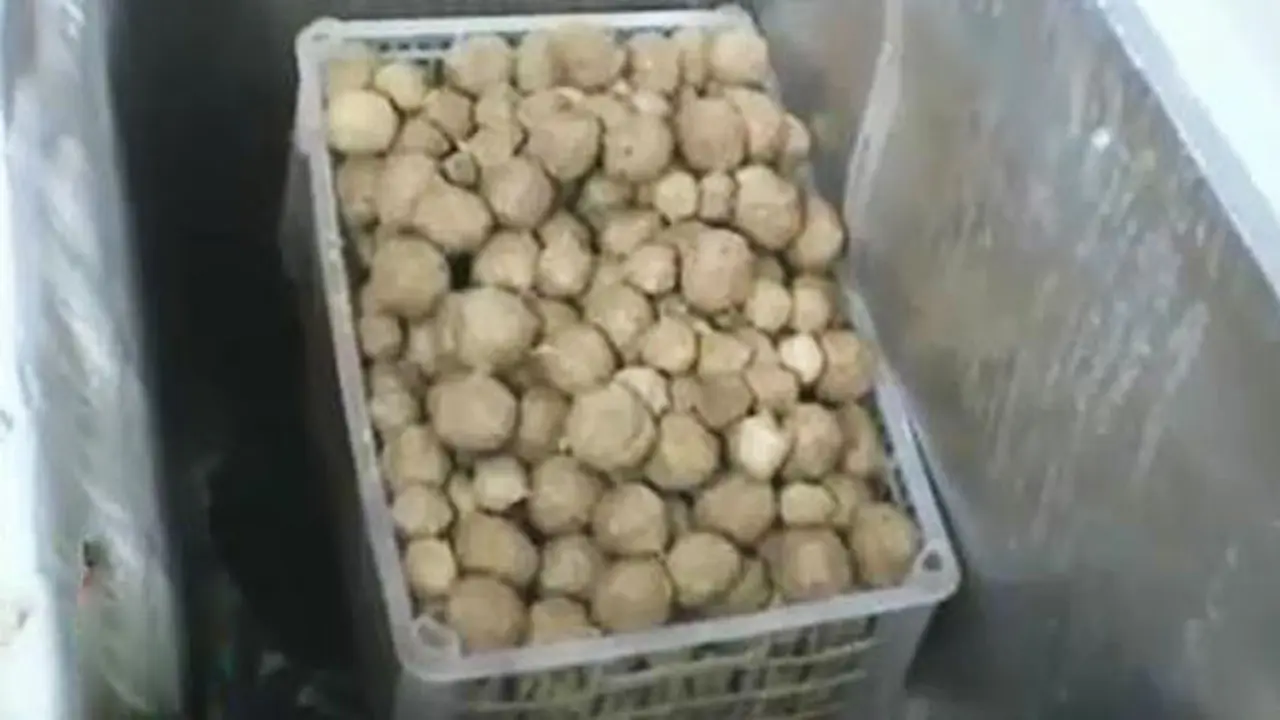 Bakso Celeng Merebak, Produksi Bakso di Sukabumi Menurun