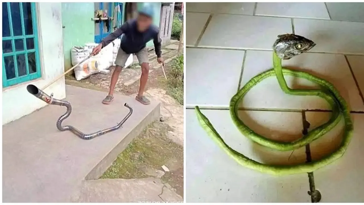 6 Potret Benda Mirip Ular Ini Kocak Tapi Bikin Kaget, Panik Jika Sungguhan