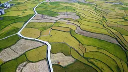 Foto hasil bidikan dari udara yang diabadikan pada 2 September 2020 ini menunjukkan petak-petak sawah di Desa Shanghua di Kota Gaoniang, Wilayah Tianzhu, Prefektur Otonom Etnis Miao dan Dong Qiandongnan, Provinsi Guizhou, China barat daya. (Xinhua/Yang Wenbin)