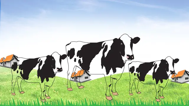 Ilustrasi Ternak Sapi