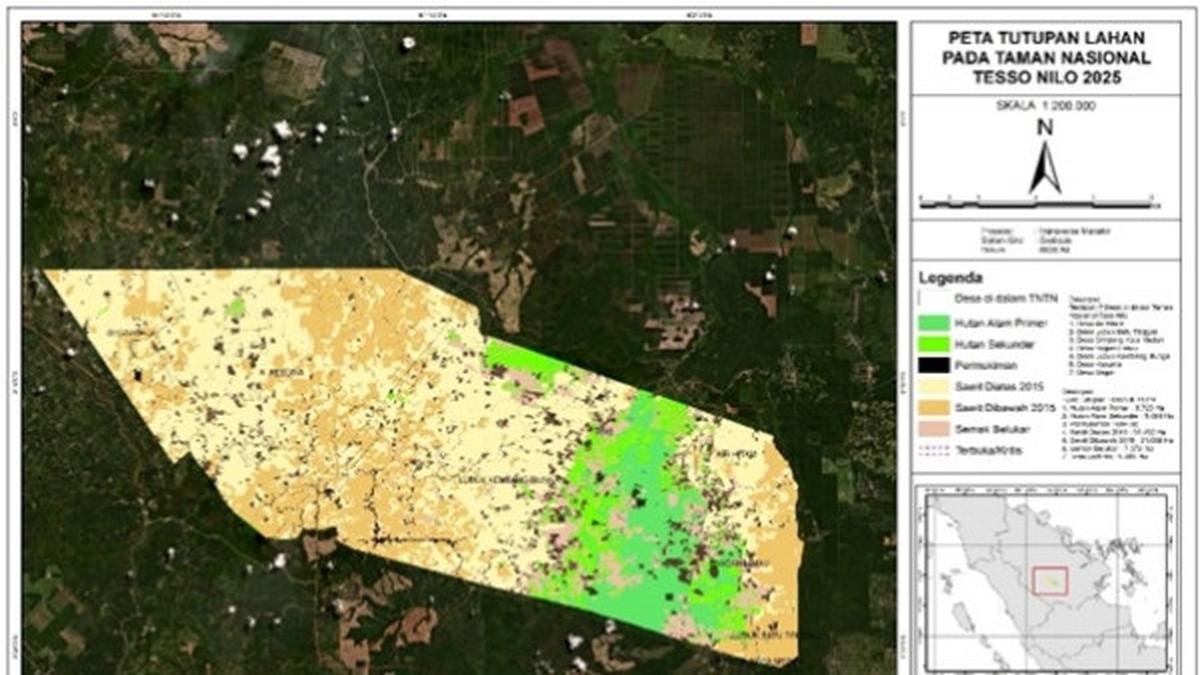 Sekilas Taman Nasional Tesso Nilo, Habitat Gajah yang Dihabisi Perambah