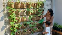 7 Model Kebun Timun dari Karung Bekas di Halaman Rumah yang Hemat Lahan