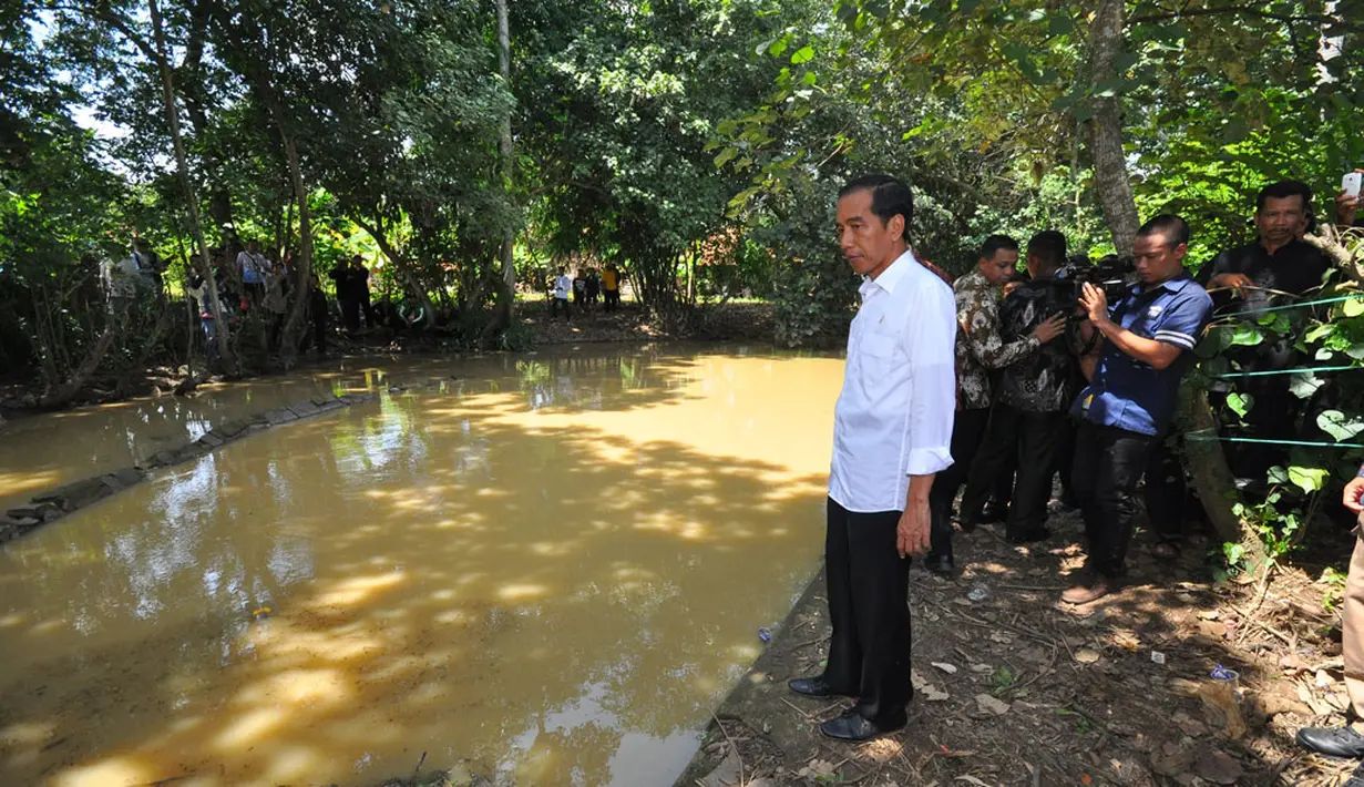 Presiden Joko Widodo melihat lokasi proyek sodetan Tarum Timur di Sungai Citarum, Kecamatan Compreng, Subang, Jawa Barat, Jumat (26/12). Sodetan sepanjang tujuh kilometer itu akan terealisasi dalam dua tahun. (ANTARA FOTO/Agus Suparto)