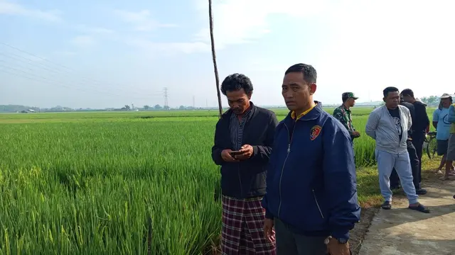 Aparat Polres Kudus olah TKP di sawah saat korban tewas tersengat listrik.