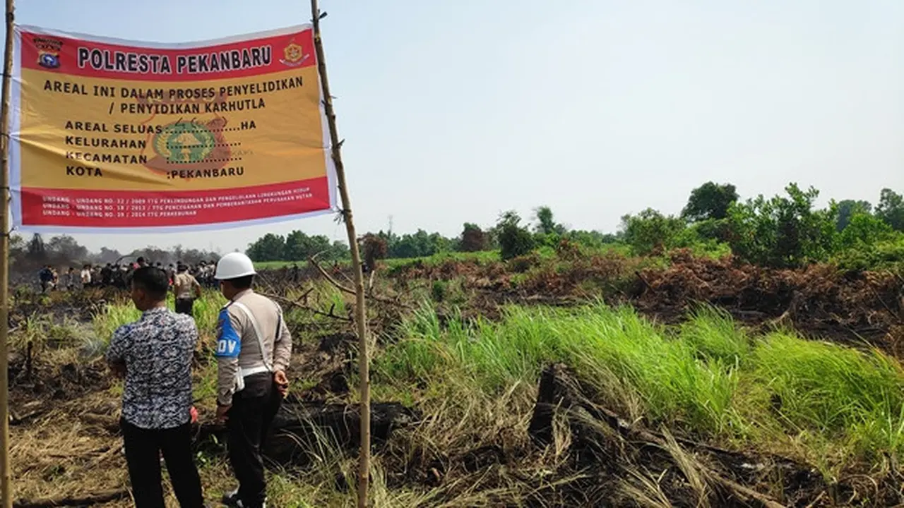 Polisi menyegel lahan di Pekanbaru karena terbakar yang menimbulkan kabut asap