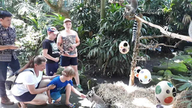 Wisatawan asing sedang berinteraksi langsung dengan hewan-hewan di Bali zoo