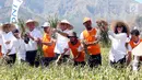Menteri Badan Usaha Milik Negara (BUMN), Rini M Soemarno (kanan) bersama Dirut BNI Achmad Baiquni (kelima kanan) memanen bawang putih bersama para petani di Sembalun, Nusa Tenggara Barat (NTB) Jumat (01/9).(Liputan6.com/Pool)