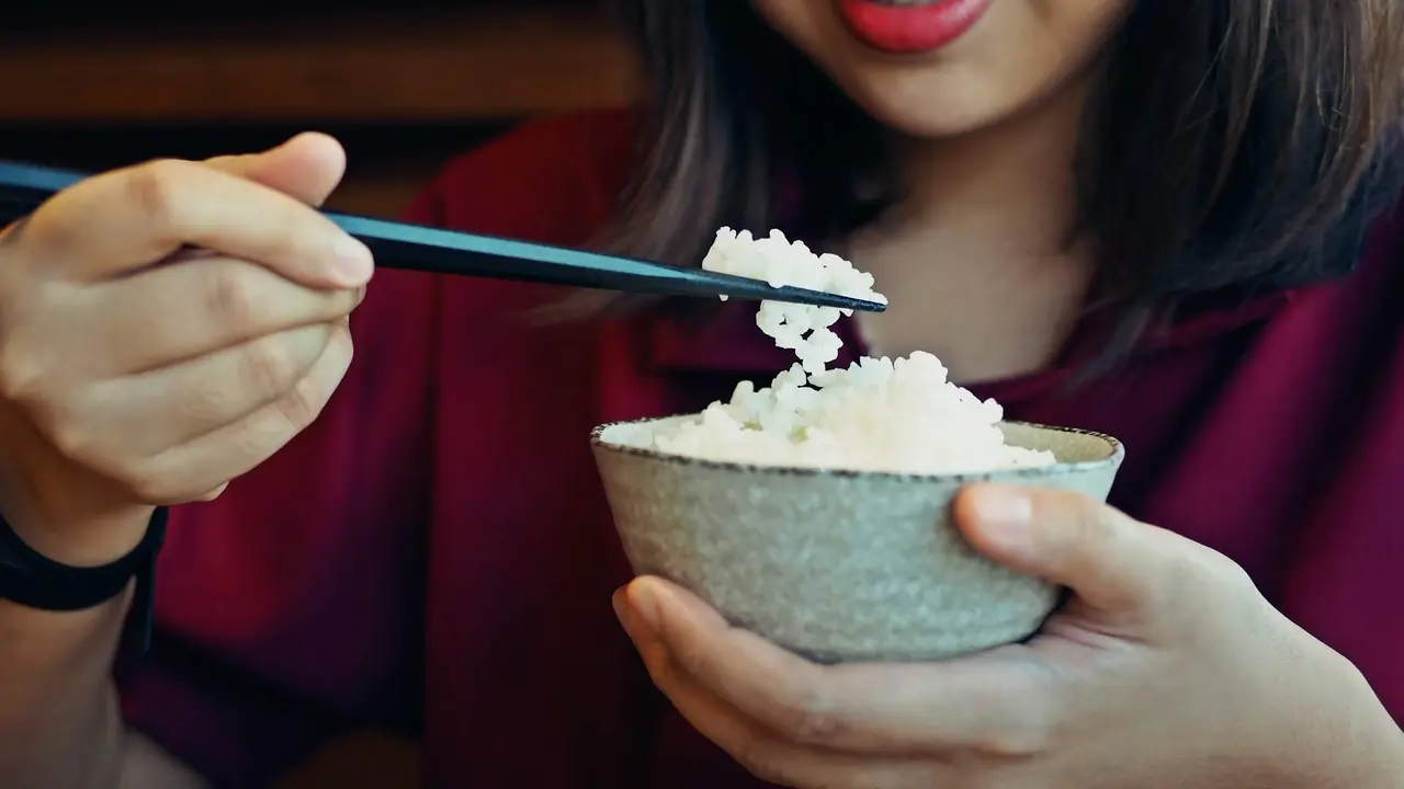 Makan Nasi