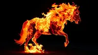 Chinese New Year 2026, Menyongsong Semangat Membara di Tahun Kuda Api