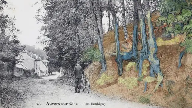 Tree Roots Sites/VAN GOGH MUSEUM