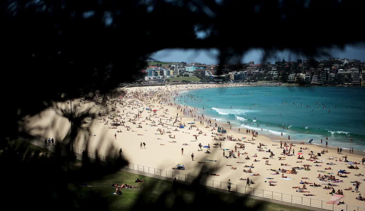 Ribuan Warga Australia menghabiskan waktunya di pantai Bondi Sydney selama gelombang panas yang melanda wilayah Australia, (20/11/2015). Akibat suhu yang panas, mayoritas warga Australia mengabiskan waktunya dipantai. (REUTERS/Jason Reed)