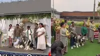 6 Potret Acara Nikahan Sepasang Anjing, Berjalan Meriah Ada Pengiringnya (TikTok/kopehong)