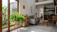 6 Tanaman Indoor yang Bisa Menjaga Kelembapan Rumah, Pilihan Alami untuk Hunian