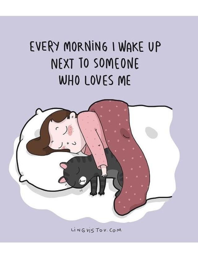 6 Ilustrasi Komik Suka Duka Pelihara Kucing Ini Bikin Gemas