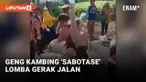 Ngakak! Sekelompok Kambing Ganggu Lomba Gerak Jalan di Lumajang