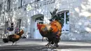 Seekor ayam jantan berdiri di luar pengadilan tinggi (Tribunal de Grande Instance) di Rochefort, Prancis barat, Kamis (4/7/2019). Ayam bernama Maurice tersebut dituduh terlalu berisik oleh tetangganya sehingga menyebabkan polusi suara yang berlebihan. (Photo by XAVIER LEOTY / AFP)