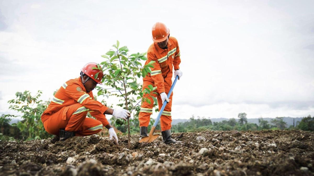 Menuju Tambang Berkelanjutan: Weda Bay Reklamasi 84,86 Hektare Lahan