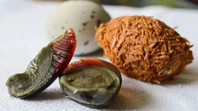 Telur Ribuan Tahun