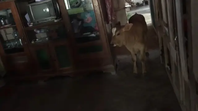 Rumah masa kecil ibu Dodit yang sederhana.