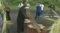 liputan6