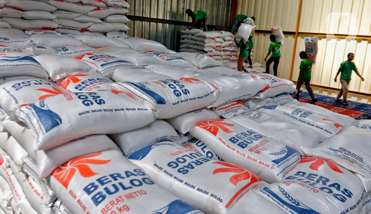 Buruh memanggul beras bulog saat aktivitas bongkar muat, di gudang PT Food Station Tjipinang Jaya, Jakarta Timur, Jumat (3/2/2023). Guna memenuhi kebutuhan beras di Pasar Induk Beras Cipinang, Bulog juga akan menambah stok beras yang saat ini ada di Food Station dari 13 ribu ton menjadi 30 ribu ton. (Liputan6.com/Angga Yuniar)